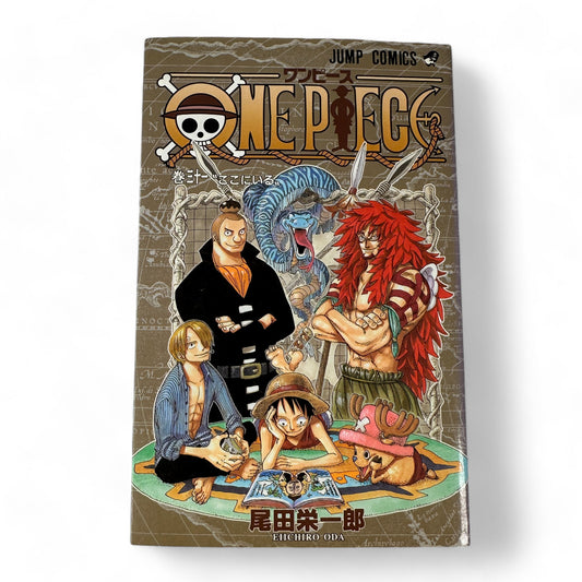 ONE PIECE Tome 31