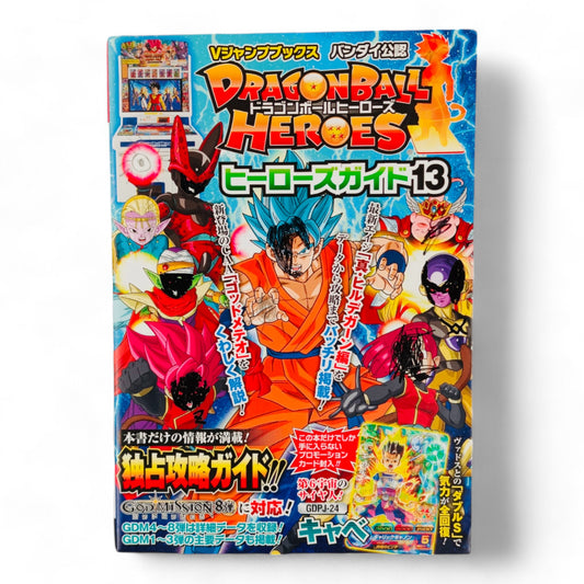 Super Dragon Ball Heroes : Heroes Guide 13