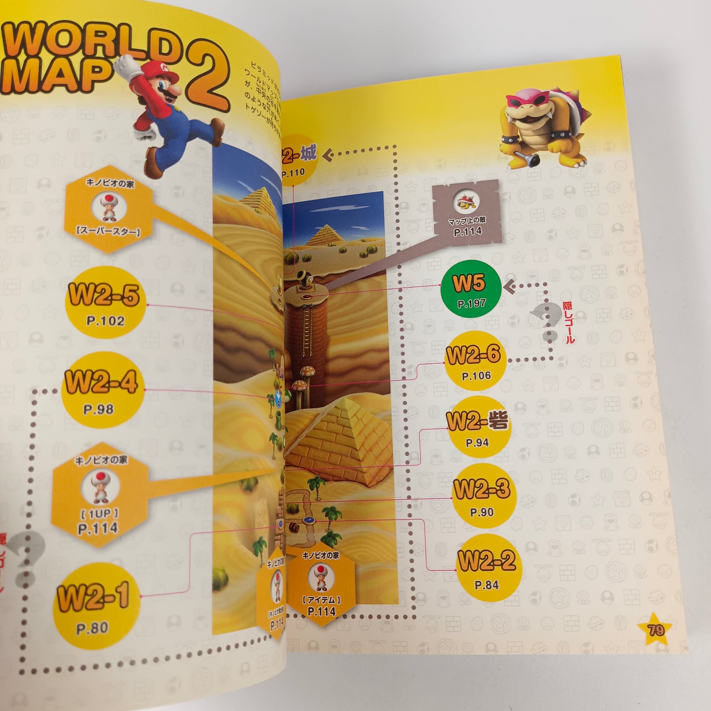 Guide officiel Nintendo pour New Super Mario Bros. Wii