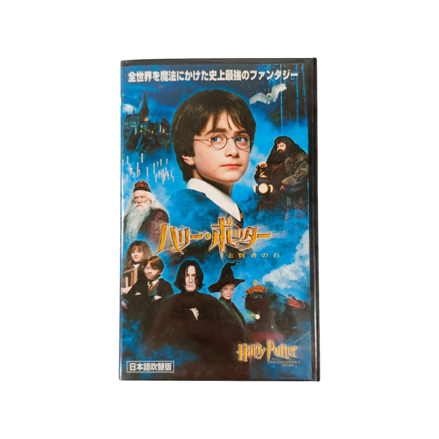 Harry Potter à l'école des sorciers